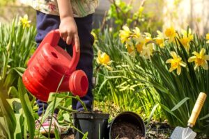 jak dbać o kwiaty w ogrodzie